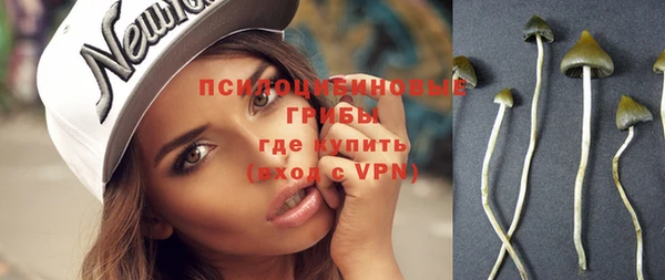 мет Гусиноозёрск