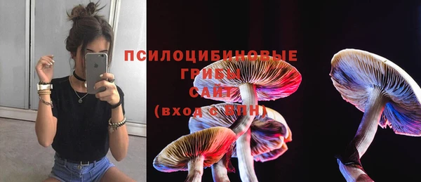 мет Гусиноозёрск